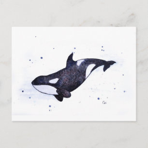 Orca Killer whale illustratie Briefkaart