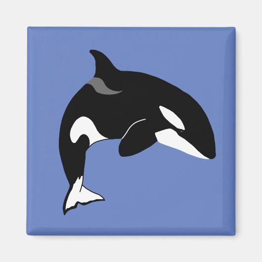 Orca Killer Whale Magneet (Voorkant)