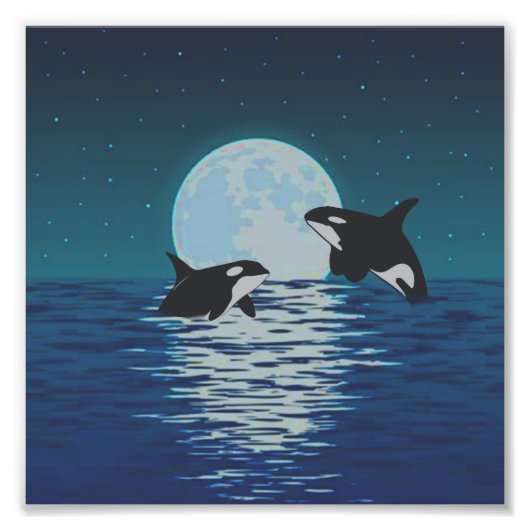 Orca Killer Whale Moonlight Foto Afdruk (Voorkant)