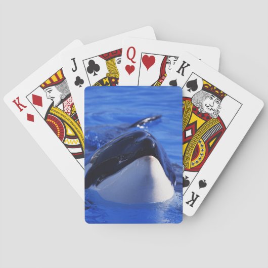 Orca Killer Whale Pokerkaarten (Achterkant)