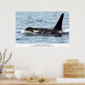 Orca Killer Whale Poster San Juan Island (Keuken)