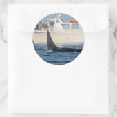 Orca Killer Whale - transient, washington Ronde Sticker (Tas)