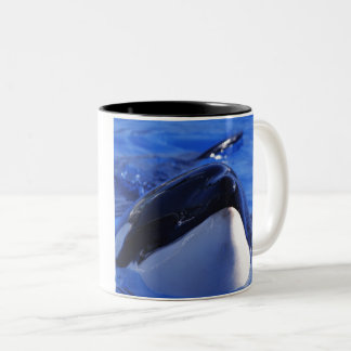 orca.Killer Whale Tweekleurige Koffiemok
