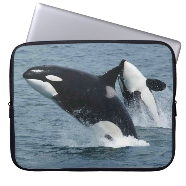 Orca Killer Whales Breach Laptop Sleeve (Voorkant)