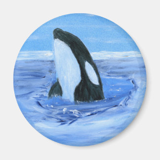 Orca killerwalvis magneet