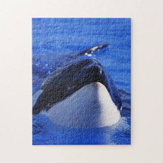 Orca Killr Whale Legpuzzel