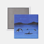 Orca Magneet (Voorkant / Achterkant)