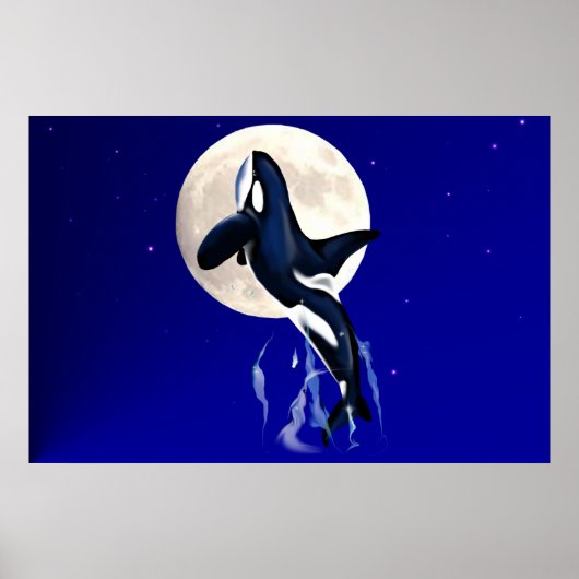 Orca Moon Poster (Voorkant)