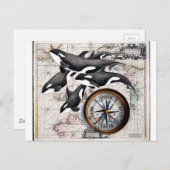 Orca Nautical Compass Briefkaart (Voorkant / Achterkant)