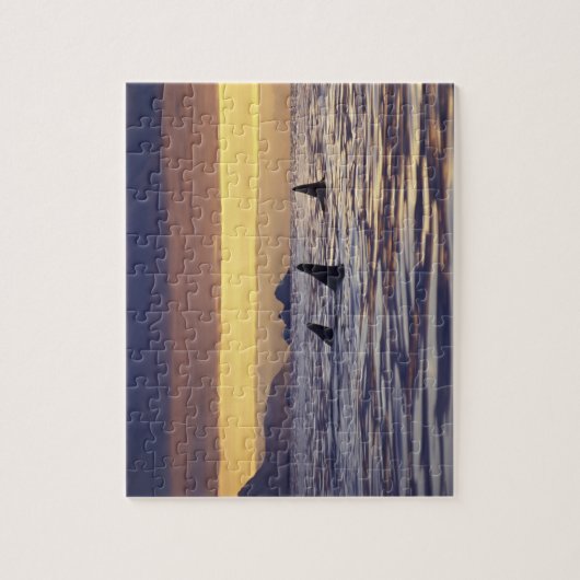 Orca of Killer Whales Legpuzzel (Verticaal)