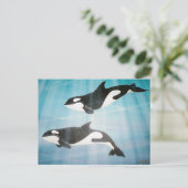 Orca Pair Briefkaart (Staand voorkant)