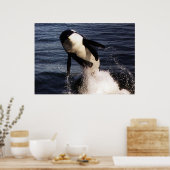 Orca Poster (Keuken)