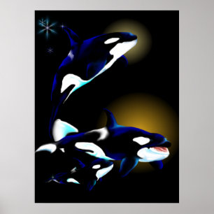 Orca Poster
