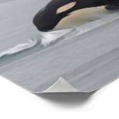 Orca Poster (Hoek)