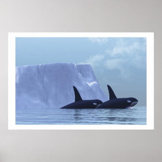 ORCA PRINT (Voorkant)
