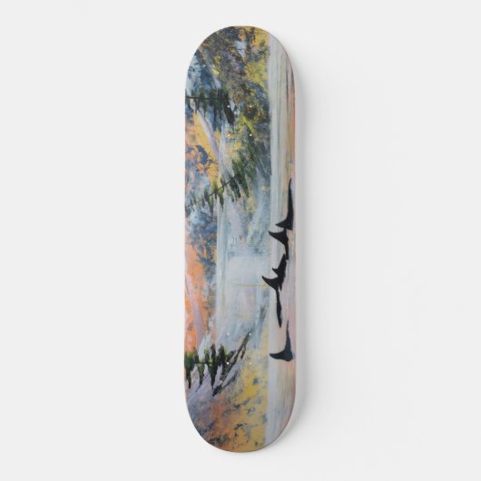 Orca Skateboard (Voorkant)