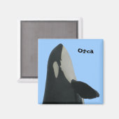 Orca Spyhop Magnet (Recto/Verso)