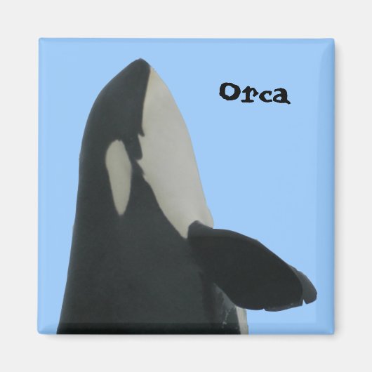 Orca Spyhop Magnet Magneet (Voorkant)