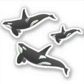 Orca Sticker (Voorkant)