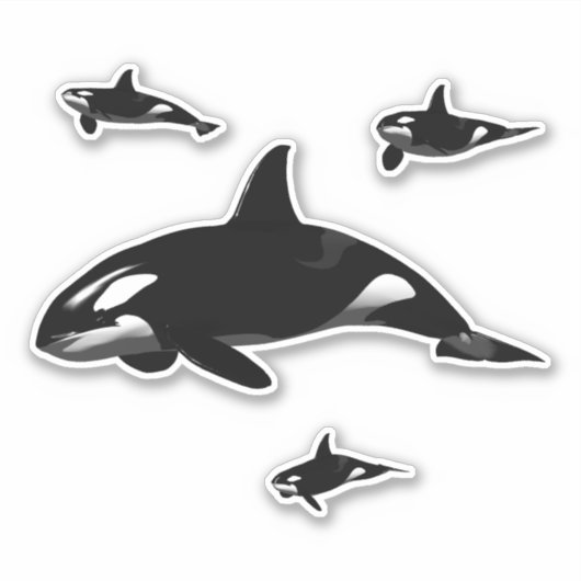 Orca Sticker (Voorkant)