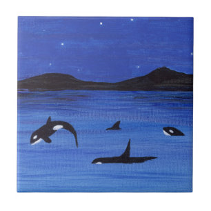Orca Tegeltje