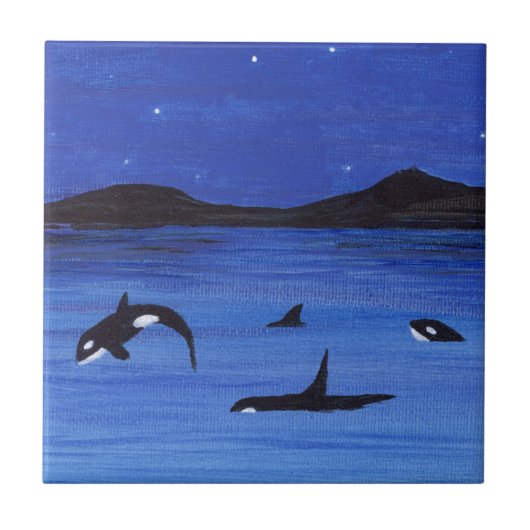 Orca Tegeltje (Voorkant)