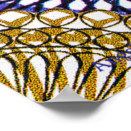 Orca Tribe Poster (Hoek)