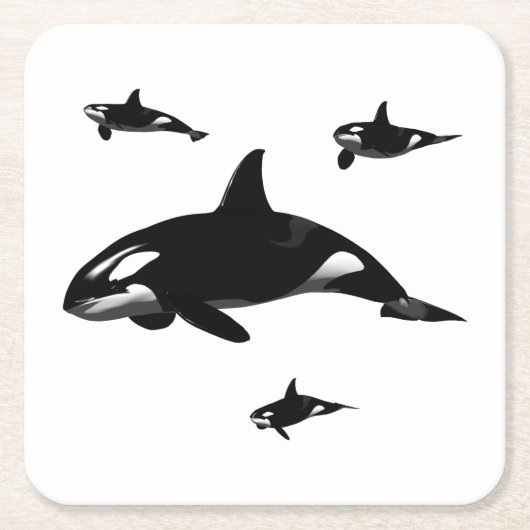 Orca Vierkante Kartonnen Onderzetter (Voorkant)