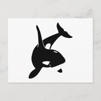 orca wal dolphin delphin schwertwal walvis briefkaart