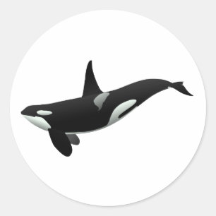 Orca walale illustratie - Kies achtergrondkleur Ronde Sticker