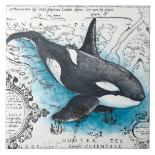 Orca Whale Blue Waterverf Nautical Map Tegeltje