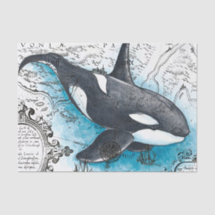Orca Whale Blue Waterverf Nautical Map Tissuepapier