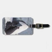 Orca whale breaching bagagelabel (Voorkant horizontaal)