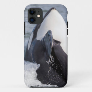Orca whale breaching iPhone 11 hoesje