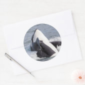 Orca whale breaching ronde sticker (Envelop)