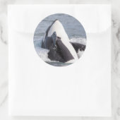 Orca whale breaching ronde sticker (Tas)