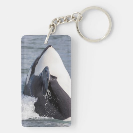 Orca whale breaching sleutelhanger (achterkant)