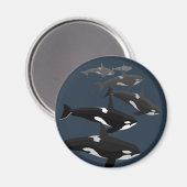 Orca Whale Fridge Magnet Killer Whale Kunstnetten Magneet (Voorkant / Achterkant)