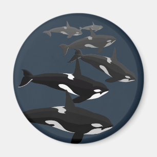 Orca Whale Fridge Magnet Killer Whale Kunstnetten Magneet