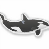 Orca Whale Sticker (Voorkant)