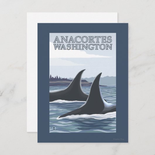 Orca Whales #1 - Anacortes, Washington Briefkaart (Voorkant / Achterkant)
