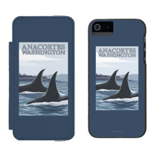 Orca Whales #1 - Anacortes, Washington