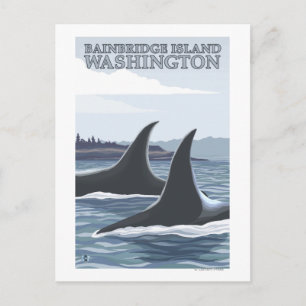 Orca Whales #1 - Bainbridge Island, Washington Briefkaart