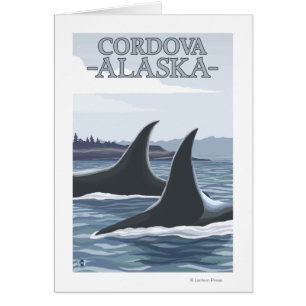 Orca Whales #1 - Cordova, Alaska