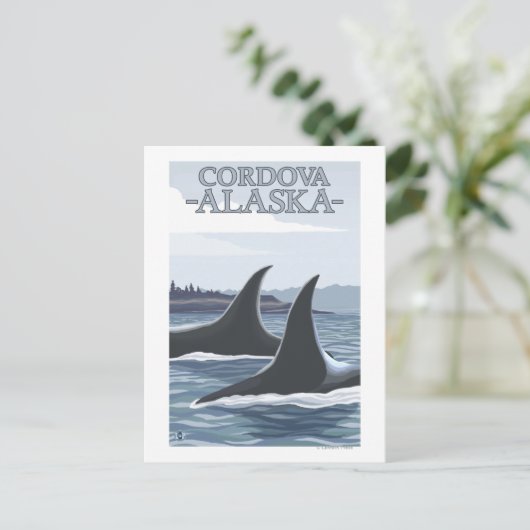 Orca Whales #1 - Cordova, Alaska Briefkaart (Staand voorkant)