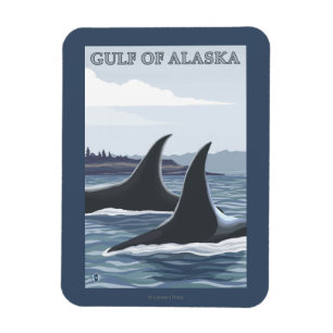 Orca Whales #1 - Golf van Alaska Magneet