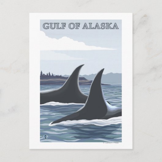 Orca Whales #1 - Gulf of Alaska Briefkaart (Voorkant)