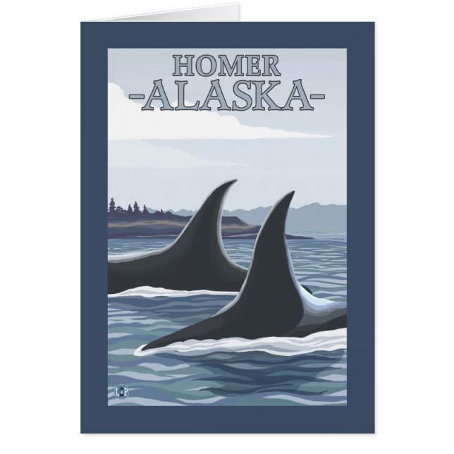 Orca Whales #1 - Homer, Alaska (Devant)