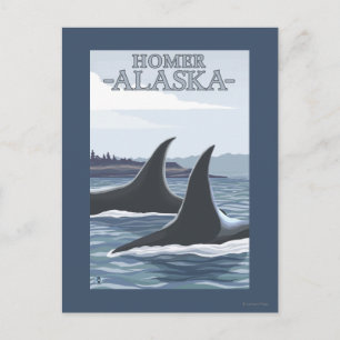 Orca Whales #1 - Homer, Alaska Briefkaart