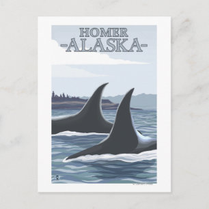 Orca Whales #1 - Homer, Alaska Briefkaart